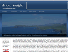 Tablet Screenshot of dingle-insight.com